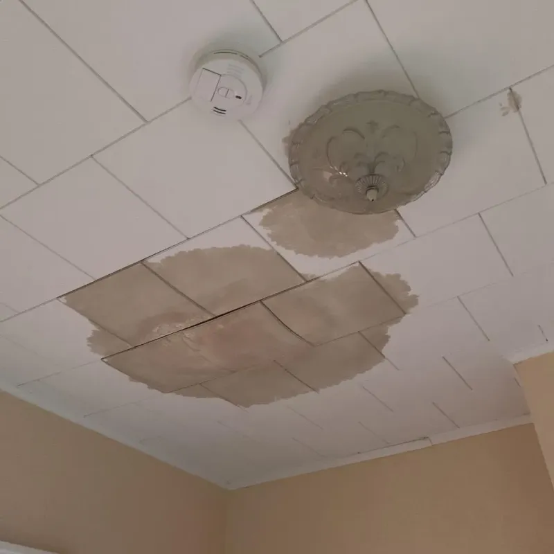 Ceiling Water Damage Repair in Belle, MO