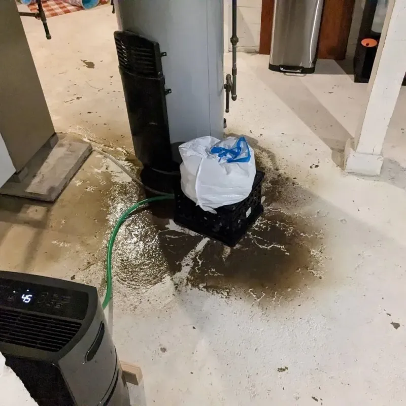 Sewage Backup Cleanup Service in Belle, MO